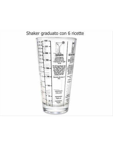 Set Cocktail 5pz in Acciaio - Mixology di Classe 🍹✨