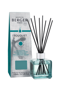 MAISON BERGER Antiodore Bagno 100ml – Diffusore a Bastoncini Maison Be