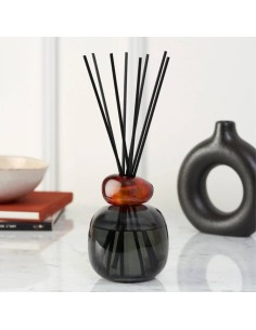 Maison Berger - Bouquet MINERAL Noir + 180ml Terre Sauvage 2