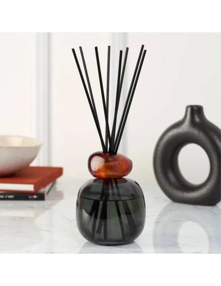 Maison Berger - Bouquet MINERAL Noir + 180ml Terre Sauvage