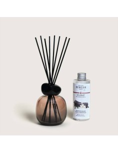 Maison Berger - Bouquet MINERAL Nude + 180ml Splendeur Vanillée 2