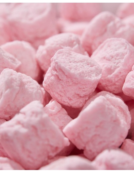 Pastiglie Leone Teneri Cuccioli Lattina 30g – 6 Gusti Dolcissimi 