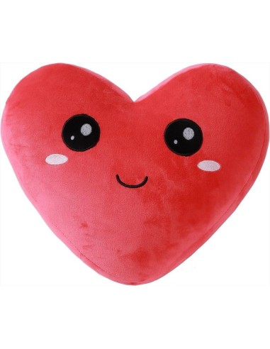 Cuscino Follow Your Heart