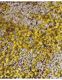 Uovo Giardino Segreto Cri Cri Fondente 70% con granella di Pistacchio Leone - Latta 350 gr 2