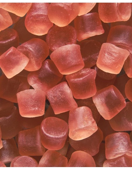 Gommose Leone Senza Zuccheri 33g – 6 Gusti Naturali in Scatoletta Tasc