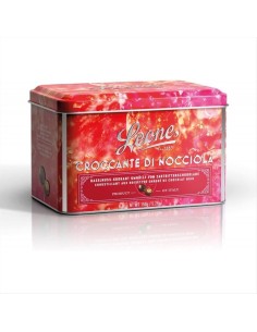 Latta Regalo con Croccante di Nocciola Leone 150g – Cioccolato Fondent