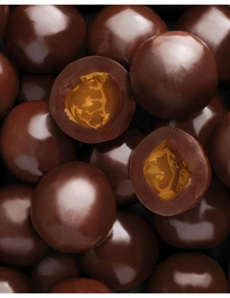 Latta Boule con Praline Gourmet Leone 100g - Eleganza e Dolcezza Natal