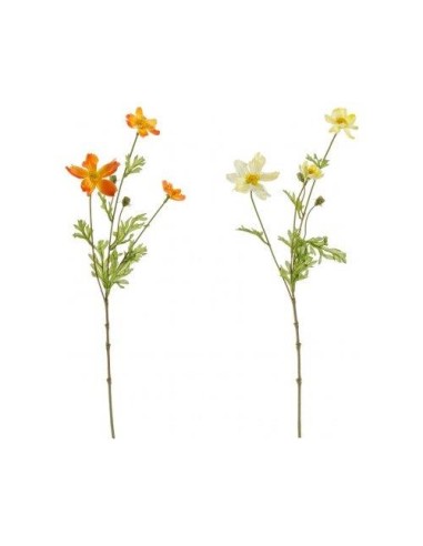 Margherita Cosmos h47cm 2 varianti (1pz)