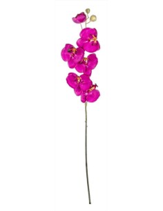 Ramo Orchidea Viola 66cm