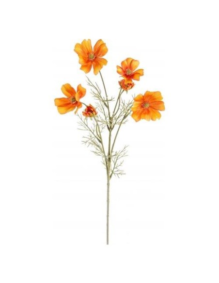 Mazzo di margherite Cosmos Giallo-Arancio 60cm