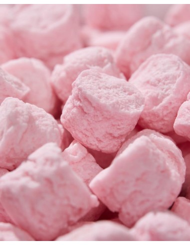 Pastiglie Leone Teneri Cuccioli Lattina 30g – 6 Gusti Dolcissimi 