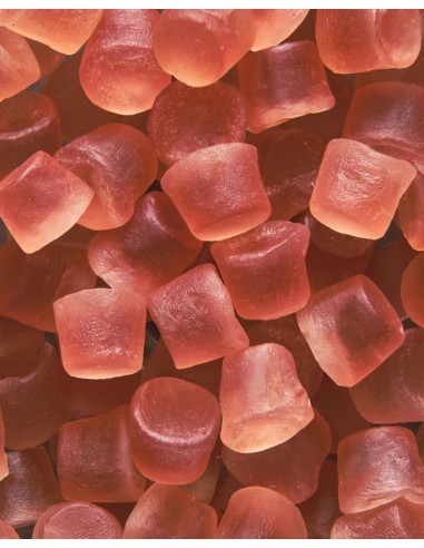 Gommose Leone Senza Zuccheri 33g – 6 Gusti Naturali in Scatoletta Tasc