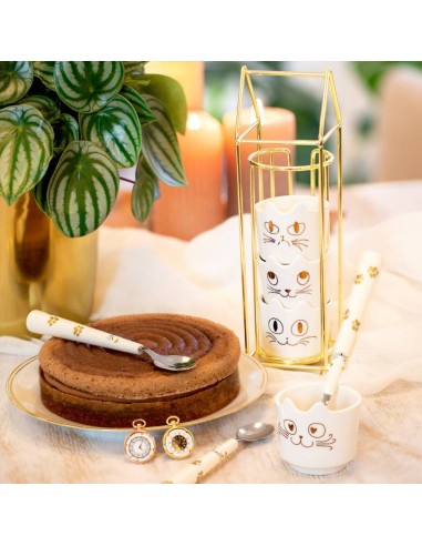 Set 4 Tazzine Gatto + Rack