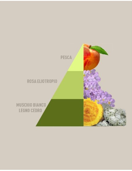 MUSICA DEL SOLE Sacchetti profumati 3pz multiuso Horomia