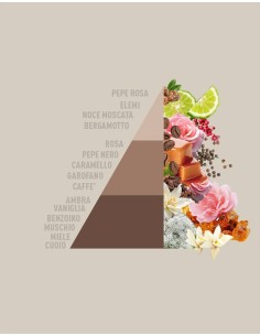 MOCHA MOUSSE 250ml Essenza per bucato LIMITED EDITION 2