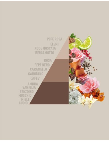 MOCHA MOUSSE 250ml Essenza per bucato LIMITED EDITION