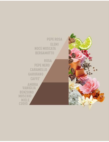 MOCHA MOUSSE 250ml Essenza per bucato LIMITED EDITION