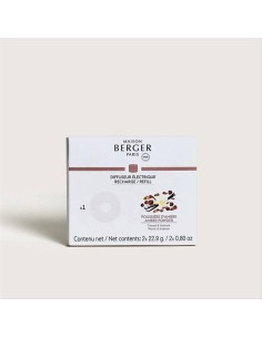 Poussiere d'Ambre - Ricarica per diffusore elettrico Nomade Maison Ber 2