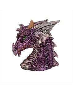 Testa Drago Brucia Incenso Cascata