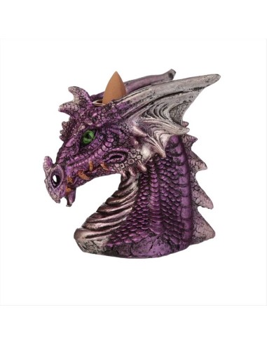 Testa Drago Brucia Incenso Cascata