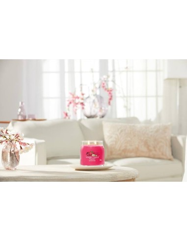 RED RASPBERRY Giara media 368gr Yankee Candle Signature