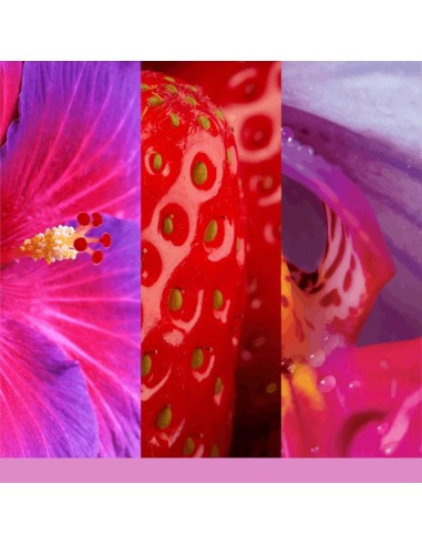 WILD ORCHID Giara media 368gr Yankee Candle Signature