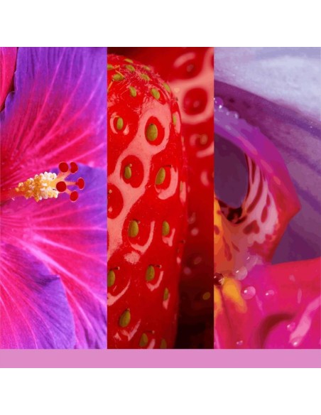 WILD ORCHID Giara media 368gr Yankee Candle Signature