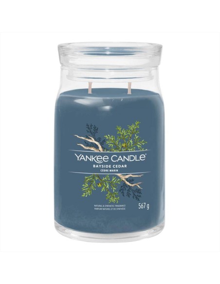 Yankee Candle Bayside Cedar Giara Grande 568 g candela profumata legno
