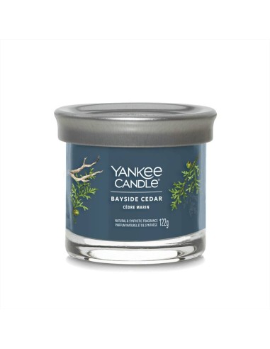 Yankee Candle Bayside Cedar 122g – Freschezza legnosa e marina 🌧️🌲