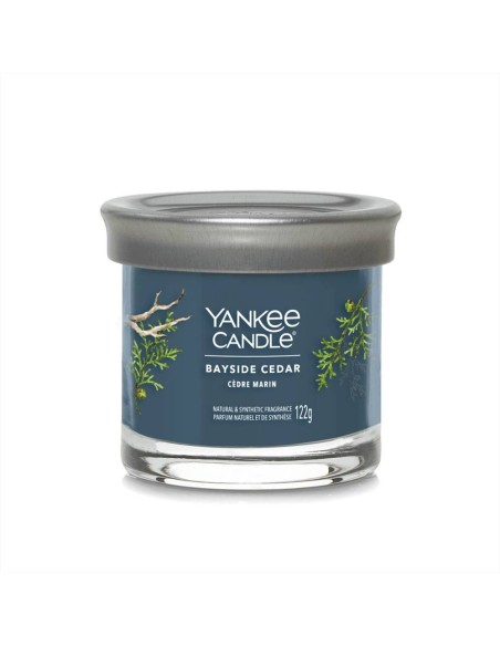 Yankee Candle Bayside Cedar 122g – Freschezza legnosa e marina 🌧️🌲