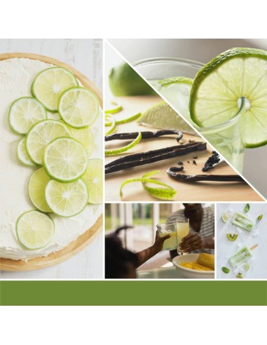 VANILLA LIME Giara media 368gr Yankee Candle Signature