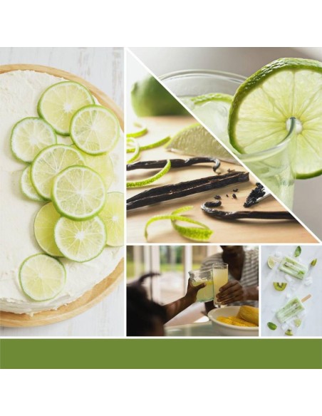 VANILLA LIME Giara media 368gr Yankee Candle Signature
