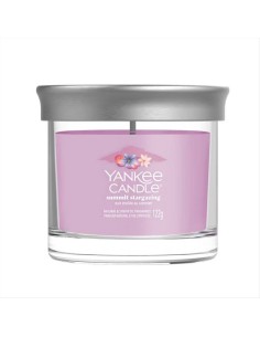 SUMMIT STARGAZING Giara piccola 122gr Yankee Candle Signature
