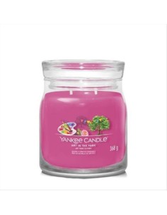 ART IN THE PARK Giara media 368gr Yankee Candle Signature