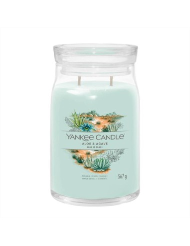 ALOE E AGAVE Giara grande 567gr Yankee Candle Signature