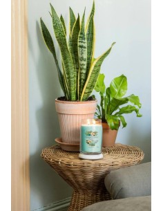 ALOE E AGAVE Giara grande 567gr Yankee Candle Signature 2