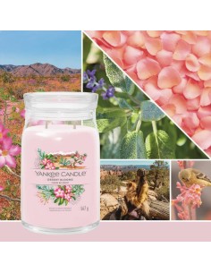 DESERT BLOOMS Giara grande 567gr Yankee Candle Signature 2