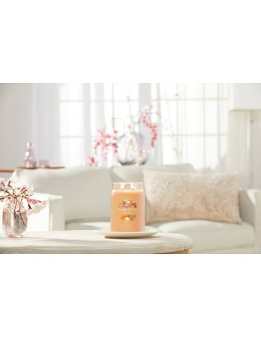 Yankee Candle Mango Ice Cream - Giara Grande 567g, Dolcezza Esotica e 
