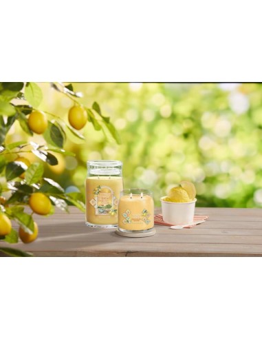 LEMON GELATO Giara media 368gr Yankee Candle Signature