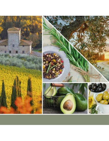 OLIVE E CIPRESS Giara media 368gr Yankee Candle Signature