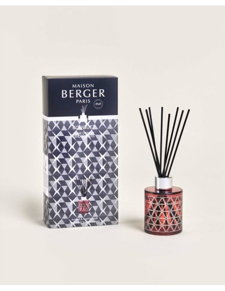 Diffusore Bouquet 115 ml Gèode  Paprika - Terre D'Epicès