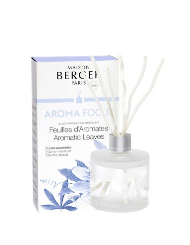 Diffusore BOUQUET Aroma Focus 180ml Maison Berger